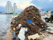 [뉴스 화제] 지난해 마산만에서 336톤 쓰레기 수거