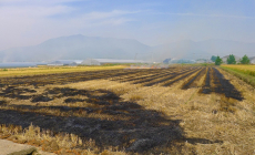 [생활정보] 논밭에서 불태우기 집중단속