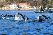 [포토뉴스] 해군 심해잠수사 혹한기 훈련 