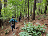 산림치유 프로그램…숲가꾸기 1일 체험행사