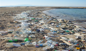 해양쓰레기 절반이 플라스틱과 스티로폼