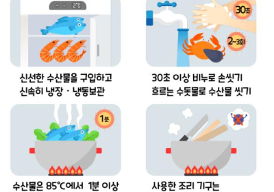 [포토뉴스] 식중독 걱정없이 안전한 여름 수산물 즐기기