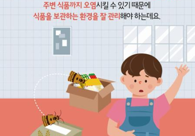 [생활정보] 식품안전정보원, 식품 보관 때 발생 이물질 벌레 주의보