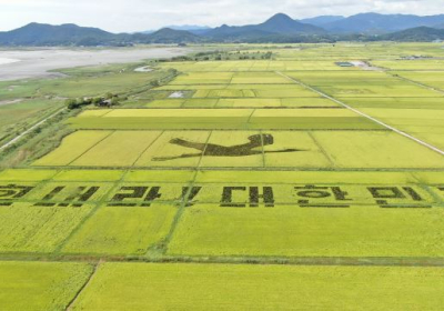 [뉴스 화제]  ‘힘내라 대한민국’…순천만에 그린 코로나 희망 메시지