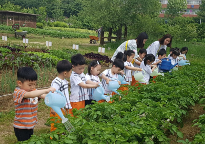 식물관찰하면 몸과 마음도 긍정적↑ 식물친숙도 22% 증가