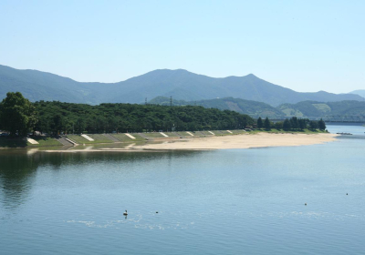 [포토뉴스] 강바람과 모래바람 막는 하동포구 백사청송