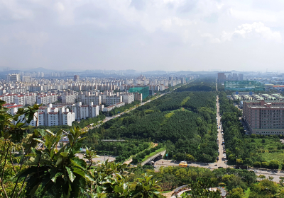 [생활정보] 도심의 나무숲이 도로변 미세먼지를 잡는다 