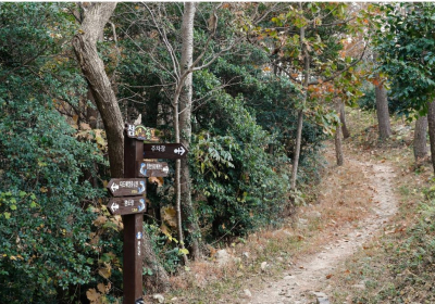 울진군, 동해안 최초 울진해양치유센터 건립