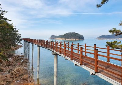 [해안선 기행] 파도 출렁이는 만리포…뭍닭섬 산책로