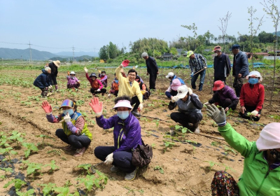 우리 마을 공동체 사업…보성만의 색다른 색깔 입히기