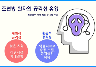 [건강정보] 조현병 공격성 환자, ‘국가책임제’ 도입 필요   