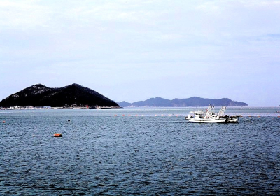 고군산군도 해역에 넙치・조피볼락 대대적 방류