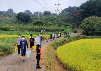 가을 예술 꽃길에 밤 주렁주렁, 여기저기 도토리