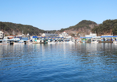 [박상건 시인의 섬을 걷다] 양양군 기사문항·수산항 등대