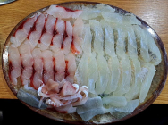 제철 어류 보리숭어, 봄 도다리