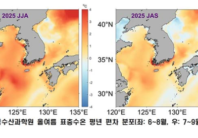 [뉴스 초점] 바다가 뜨겁다, 고수온 위기경보 ‘심각’단계